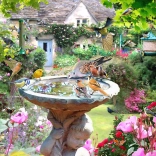 Puzzel Zomervogels 1000 stukjes