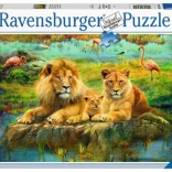 Ravensburger puzzel Leeuwen in de savanne 500 stukjes