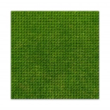 BRIXIES Plus designbouwplaat gras 25,5 x 25,5 cm