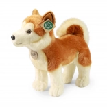 Pluchen hond Akita Inu 30 cm eco friendly