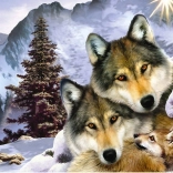 Norimpex diamond painting – Wolf Family 30 × 40 cm