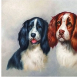 Diamond Painting Furry Duo 30 × 40 cm