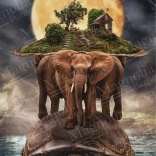 Puzzle MAGNOLIA Planet Erde 1000 Teile