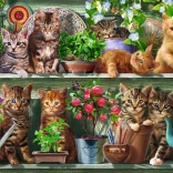 Puzzel Katten op de plankjes 500 stukjes