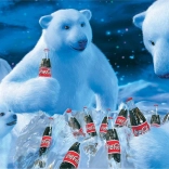 Puzzel Coca Cola IJsberen 1000 stukjes