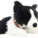 Plush Toy Border Collie