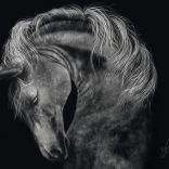 Puzzle Pferdekraft 1000 Teile