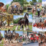 Puzzel 1000 stukjes Tahouni van House of Puzzles