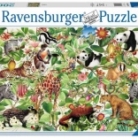 Ravensburger Puzzle Jungle 2000 pièces