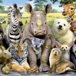 Educa puzzel schoolfotografie 1000 stukken