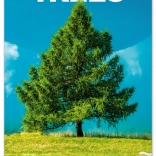 Notique wandkalender Bomen 2026