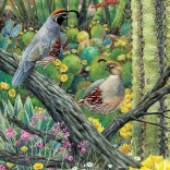 Puzzel COBBLE HILL Verloving 1000 stukjes