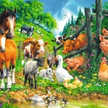 Ravensburger Puzzel Dieren XXL 100 Stukken