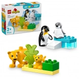 LEGO DUPLO wilde dierenfamilies: pinguïns en leeuwen