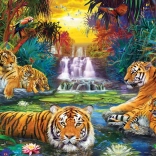 Puzzle Tigerparadies XL 500 Teile