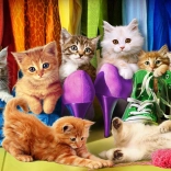 Puzzle EUROGRAPHICS Katzenstolz 1000 Teile