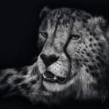 Puzzle Gepardengeschwindigkeit 1000 Teile SCHMIDT