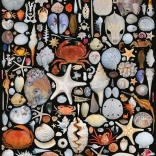 Puzzel Vanaf het Strand 1000 stukjes PIATNIK