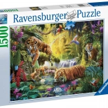 Puzzel 1500 stukjes Rustige tijgers RAVENSBURGER