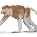 Figurine Nasique de Sunda CollectA