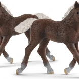 SCHLEICH HORSE CLUB poulain de la Forêt-Noire – figurine