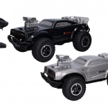 RC-auto op afstandsbediening 48 cm