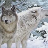 Puzzle Atem des Winters 500 Teile Cobble Hill