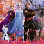 Disney: Frozen 2 100 stukjes